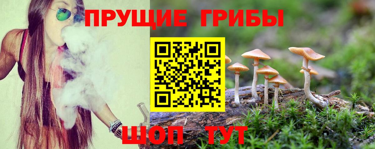 Галлюциногенные грибы прущие грибы  Вход с VPN  даркнет сайт  Ковров 